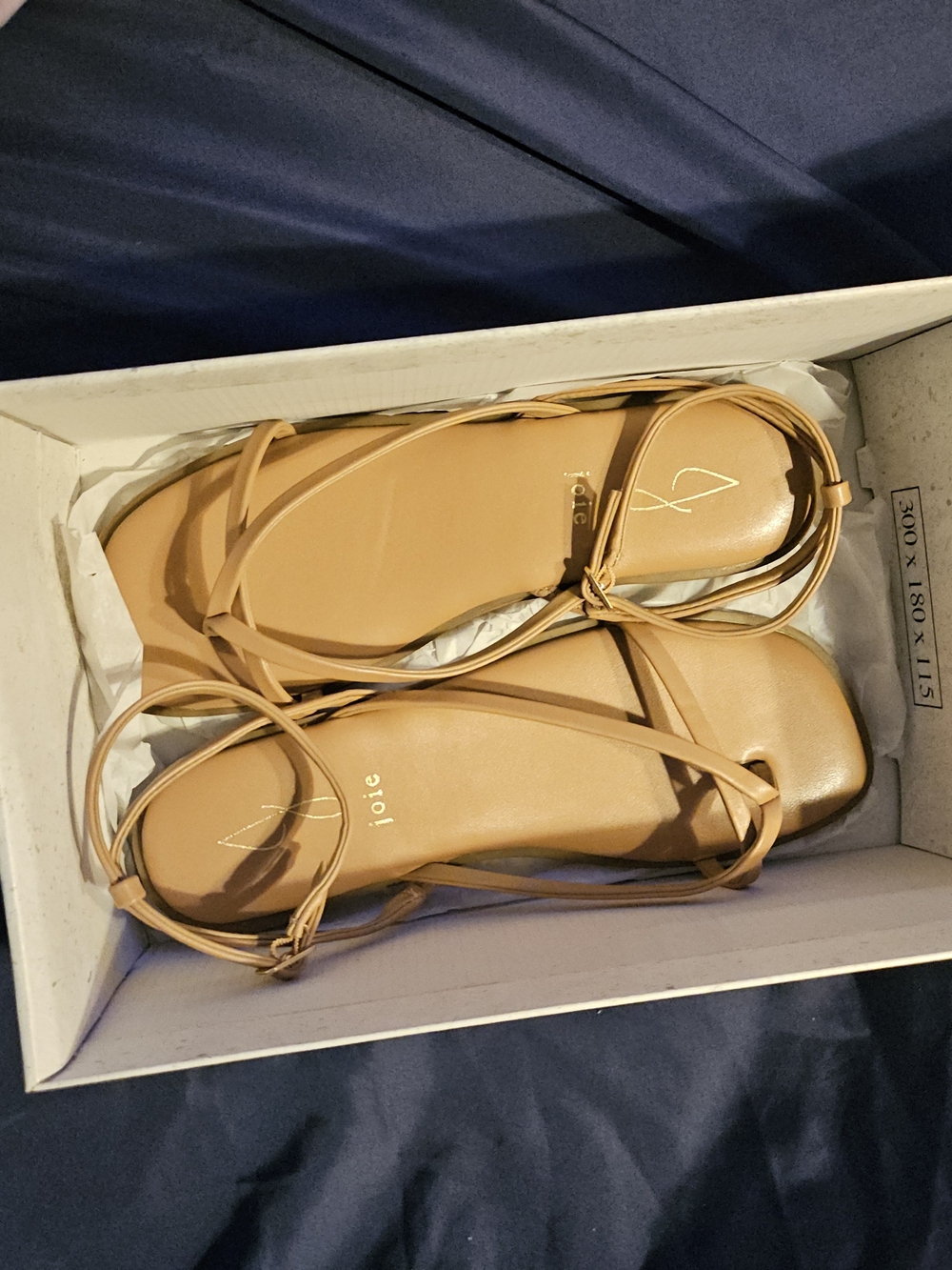 Joie Tan  Wrap-Strap Sandals